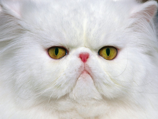 348499 (a): :1600x1200